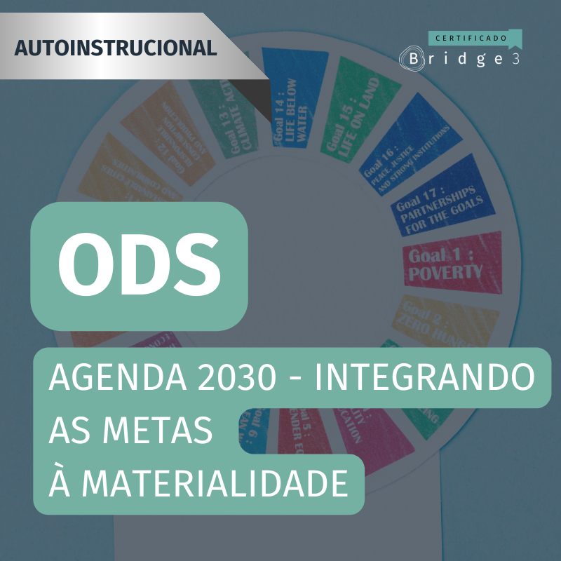 ODS - Agenda 2030 - integrando as metas à materialidade - Bridge3