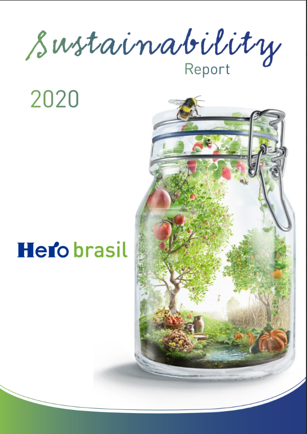 Herobrasil 2020 em Inglês