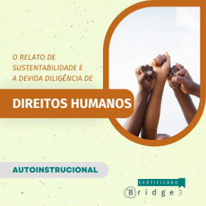 O Relato de Sustentabilidade e a devida diligência de Direitos Humanos