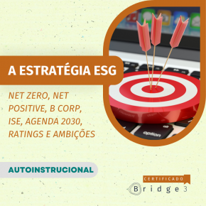 A Estratégia ESG: Net Zero, Net positive, B Corp, ISE, Agenda 2030, Ratings e Ambições - como conciliar e decidir