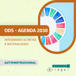ODS - Agenda 2030 - integrando as metas à materialidade