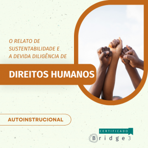 O Relato de Sustentabilidade e a devida diligência de Direitos Humanos