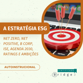 A Estratégia ESG: Net Zero, Net positive, B Corp, ISE, Agenda 2030, Ratings e Ambições - como conciliar e decidir