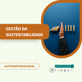 Gestão da Sustentabilidade: ESG e além