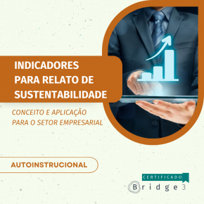 Indicadores para relato de sustentabilidade - conceito e aplicação para o setor empresarial