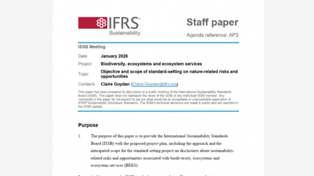 IFRS STAFF PAPER 2026 ISSB
