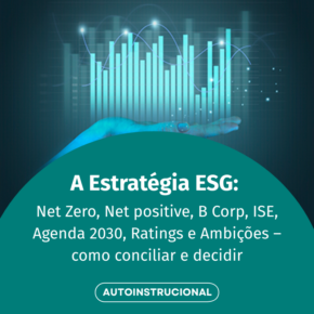 A Estratégia ESG: Net Zero, Net positive, B Corp, ISE, Agenda 2030, Ratings e Ambições - como conciliar e decidir