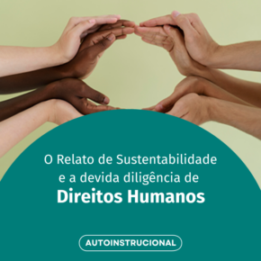 O Relato de Sustentabilidade e a devida diligência de Direitos Humanos