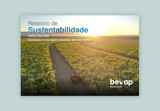 Capa do relatório Bevap